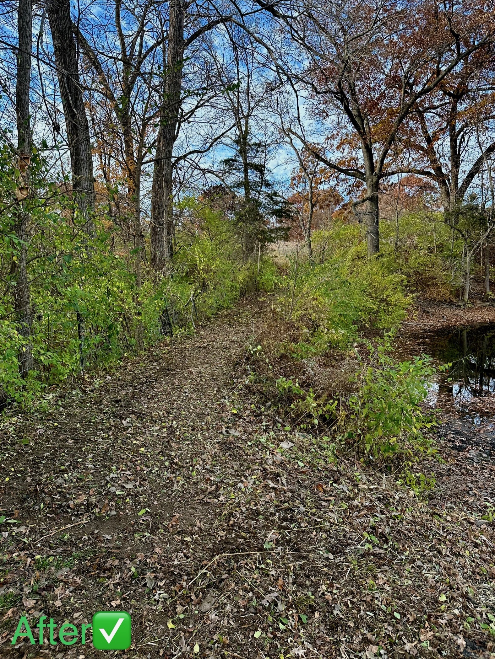 Yordy Landworks project site