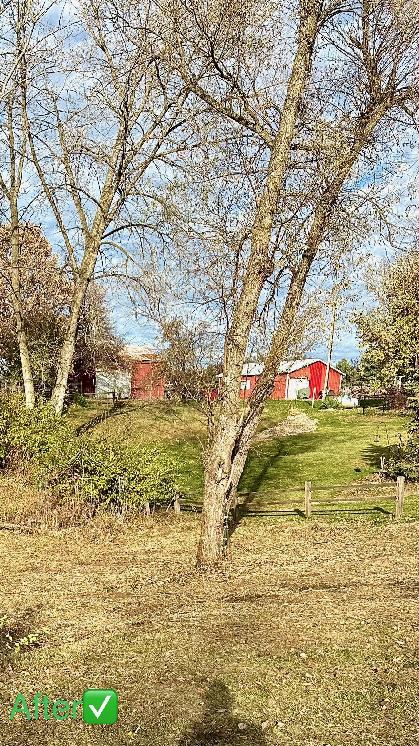 Yordy Landworks property work